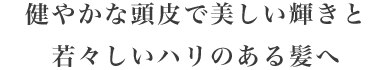 健やかな頭皮で美しい輝きと若々しいハリのある髪へ