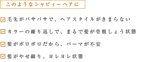 このようなシャビィーヘアに